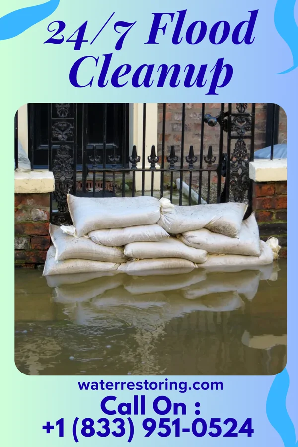 24/7 Flood Cleanup in Palestine, IL