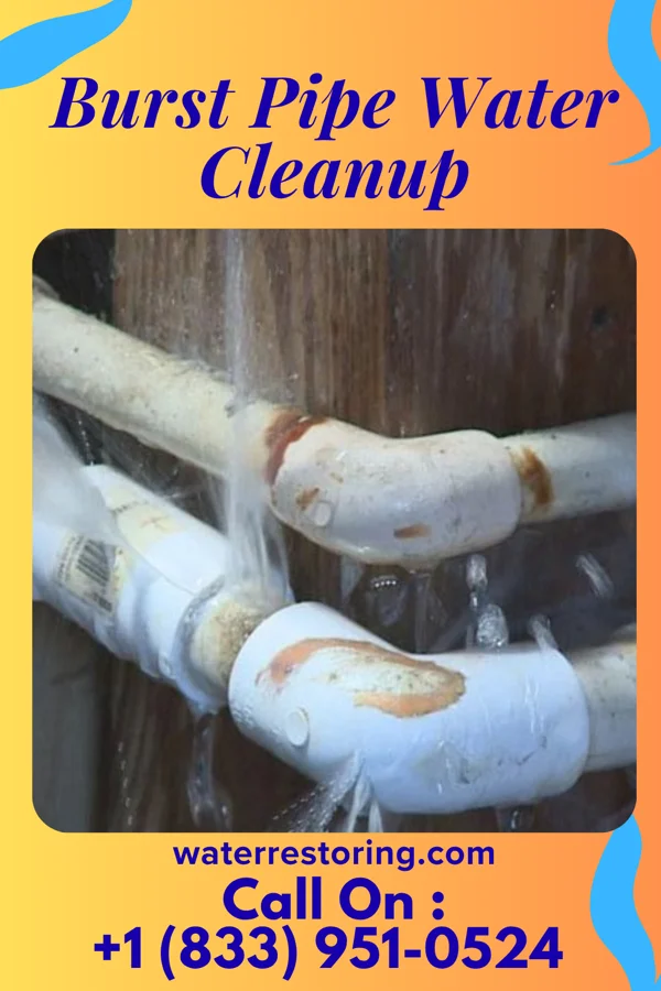 Burst Pipe Water Cleanup in Palestine, IL