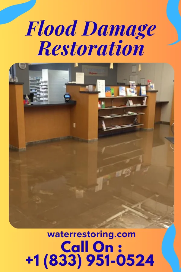Flood Damage Restoration in Palestine, IL
