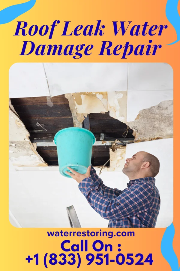 Roof Leak Water Damage Repair in Palestine, IL