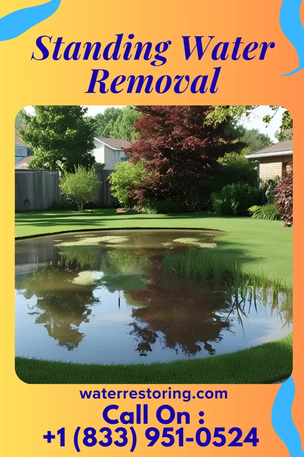 Standing Water Removal in Palestine, IL